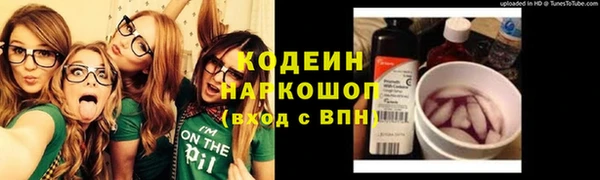 прущие крисы Кулебаки