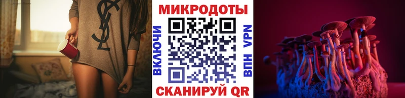 купить наркотик Адыгейск блэк спрут зеркало Галлюциногенные грибы мицелий